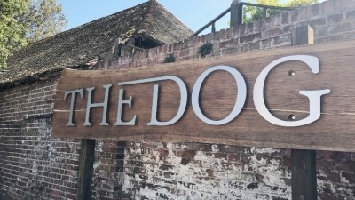 Raise a glass: The Dog at Wingham celebrated by TripAdvisor awards