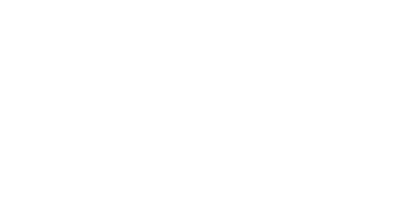 Microsoft Partner